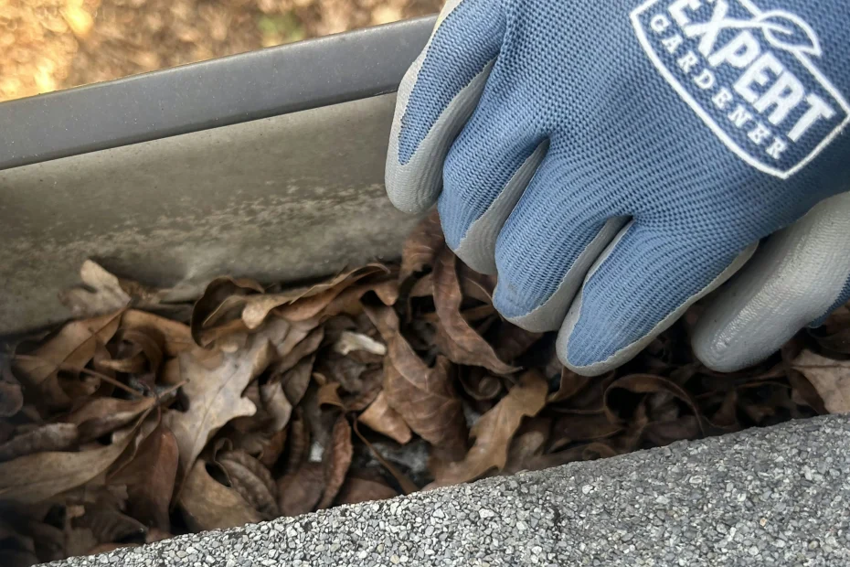 Gutter Cleaning Greenfield